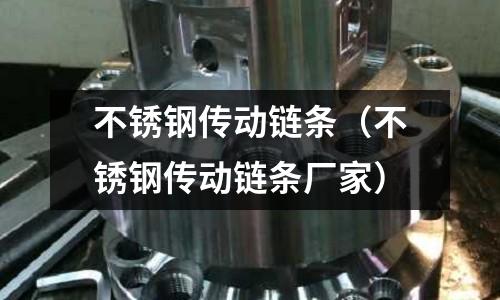 不銹鋼傳動鏈條(不銹鋼傳動鏈條廠家)