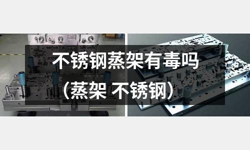 不銹鋼蒸架有毒嗎(蒸架 不銹鋼)