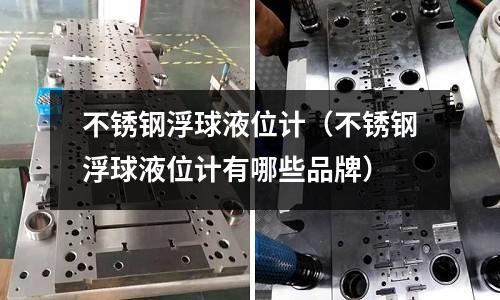 不銹鋼浮球液位計(不銹鋼浮球液位計有哪些品牌)