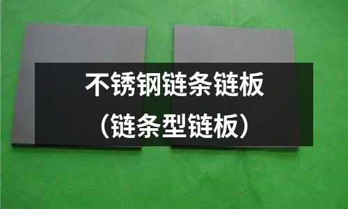 不銹鋼鏈條鏈板(鏈條型鏈板)