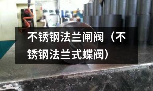 不銹鋼法蘭閘閥(不銹鋼法蘭式蝶閥)