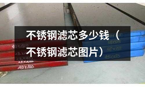 不銹鋼濾芯多少錢（不銹鋼濾芯圖片）