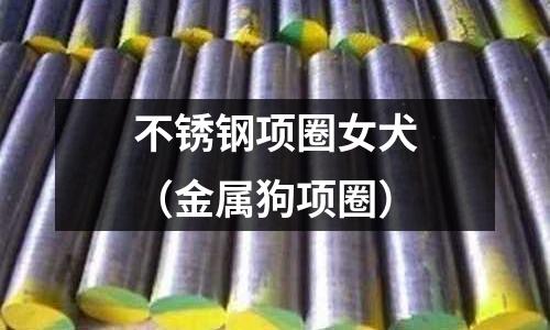 不銹鋼項圈女犬(金屬狗項圈)