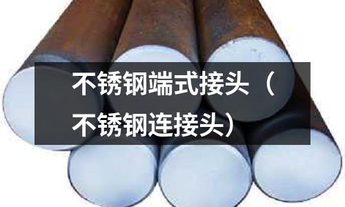 不銹鋼端式接頭(不銹鋼連接頭)