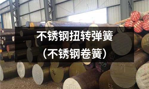 不銹鋼扭轉彈簧(不銹鋼卷簧)