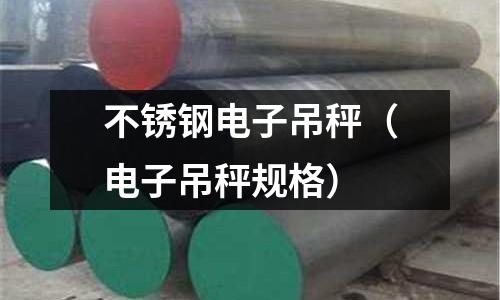 不銹鋼電子吊秤(電子吊秤規格)