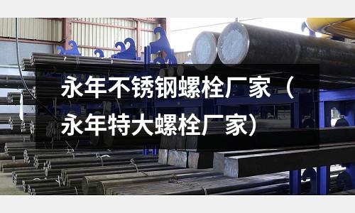 永年不銹鋼螺栓廠家(永年特大螺栓廠家)