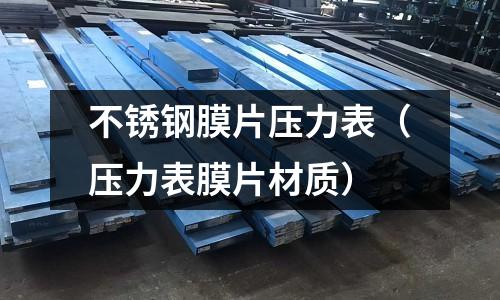 不銹鋼膜片壓力表（壓力表膜片材質）