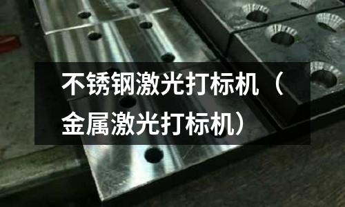 不銹鋼激光打標機(金屬激光打標機)