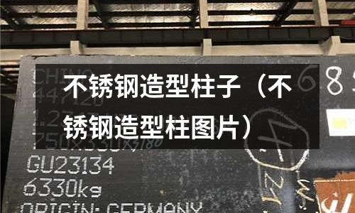 不銹鋼造型柱子(不銹鋼造型柱圖片)