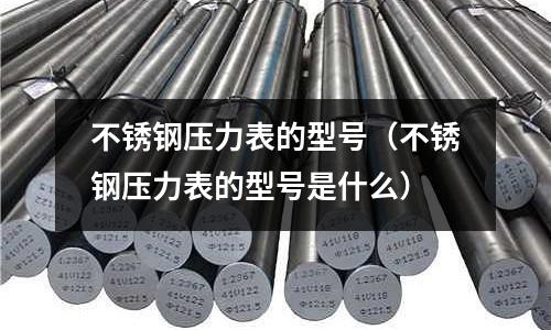 不銹鋼壓力表的型號(不銹鋼壓力表的型號是什么)
