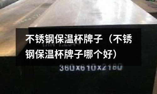 不銹鋼保溫杯牌子（不銹鋼保溫杯牌子哪個好）