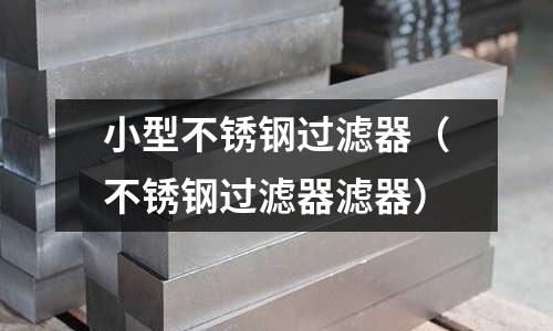 小型不銹鋼過濾器（不銹鋼過濾器濾器）