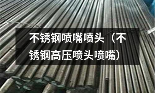 不銹鋼噴嘴噴頭(不銹鋼高壓噴頭噴嘴)