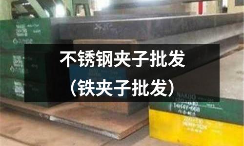 不銹鋼夾子批發(鐵夾子批發)