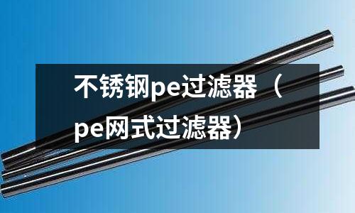 不銹鋼pe過濾器(pe網式過濾器)