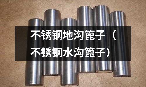 不銹鋼地溝篦子(不銹鋼水溝篦子)