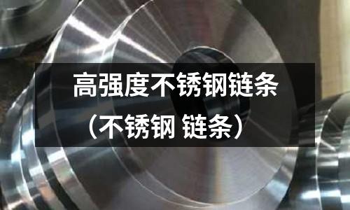 高強度不銹鋼鏈條（不銹鋼 鏈條）