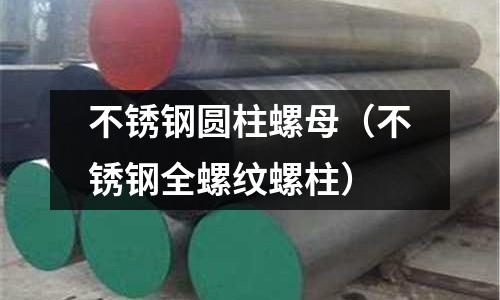 不銹鋼圓柱螺母(不銹鋼全螺紋螺柱)