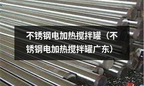 不銹鋼電加熱攪拌罐(不銹鋼電加熱攪拌罐廣東)