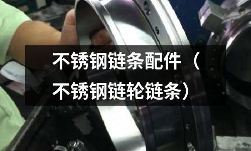 不銹鋼鏈條配件(不銹鋼鏈輪鏈條)