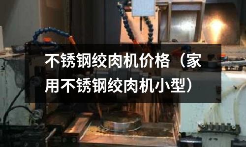 不銹鋼絞肉機價格（家用不銹鋼絞肉機小型）