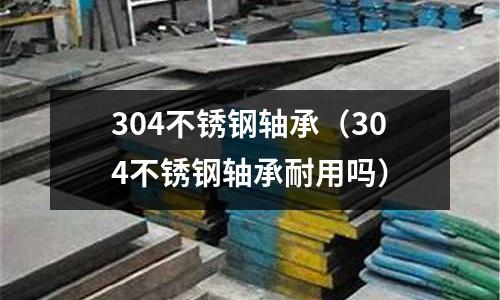 304不銹鋼軸承（304不銹鋼軸承耐用嗎）
