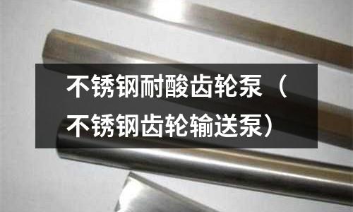 不銹鋼耐酸齒輪泵（不銹鋼齒輪輸送泵）