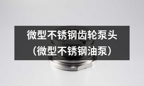 微型不銹鋼齒輪泵頭（微型不銹鋼油泵）