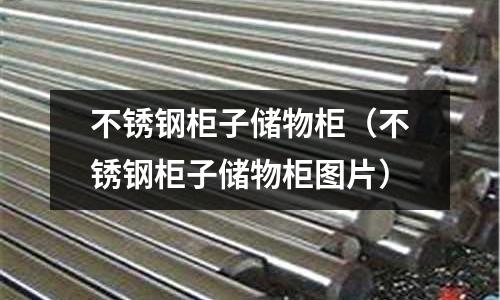 不銹鋼柜子儲物柜(不銹鋼柜子儲物柜圖片)