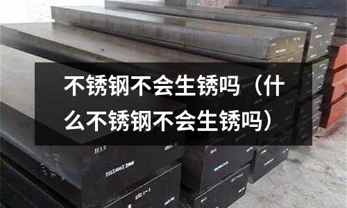 不銹鋼不會生銹嗎(什么不銹鋼不會生銹嗎)