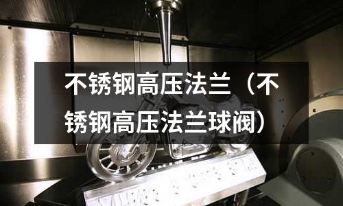 不銹鋼高壓法蘭（不銹鋼高壓法蘭球閥）
