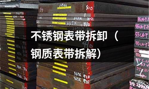 不銹鋼表帶拆卸(鋼質表帶拆解)