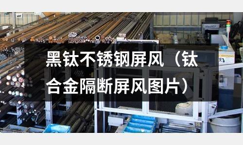 黑鈦不銹鋼屏風（鈦合金隔斷屏風圖片）