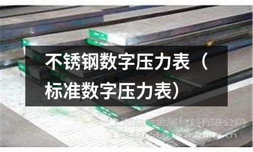 不銹鋼數字壓力表（標準數字壓力表）