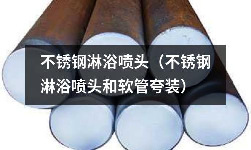 不銹鋼淋浴噴頭(不銹鋼淋浴噴頭和軟管夸裝)