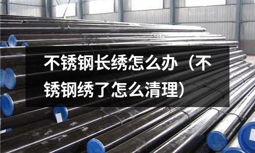 不銹鋼長(zhǎng)繡怎么辦(不銹鋼繡了怎么清理)