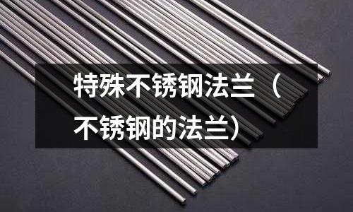 特殊不銹鋼法蘭（不銹鋼的法蘭）