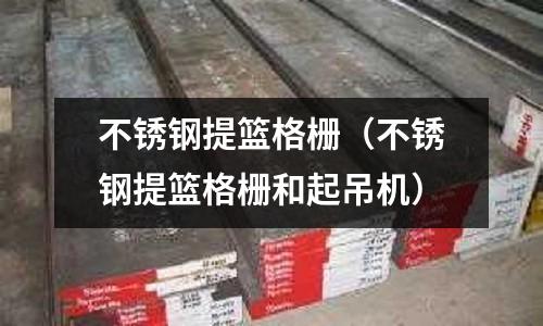 不銹鋼提籃格柵(不銹鋼提籃格柵和起吊機)