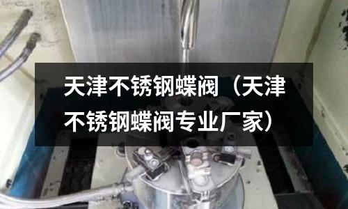 天津不銹鋼蝶閥(天津不銹鋼蝶閥專業廠家)