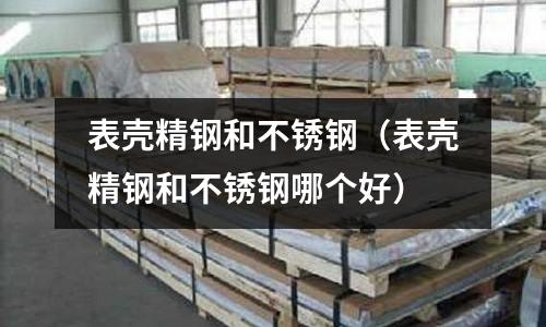 表殼精鋼和不銹鋼(表殼精鋼和不銹鋼哪個好)