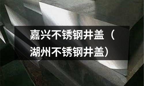 嘉興不銹鋼井蓋(湖州不銹鋼井蓋)