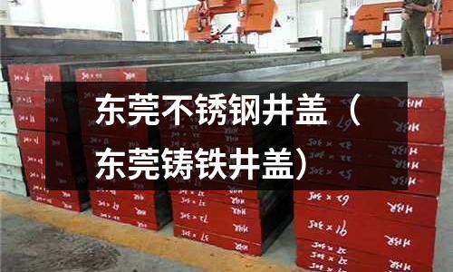 東莞不銹鋼井蓋（東莞鑄鐵井蓋）