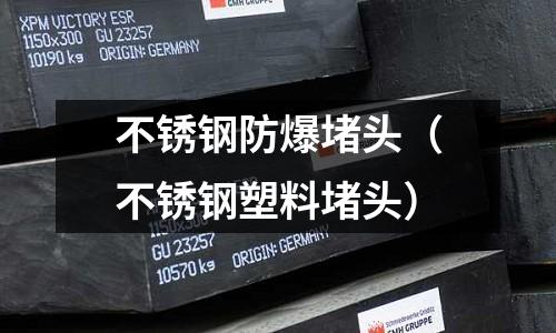 不銹鋼防爆堵頭(不銹鋼塑料堵頭)