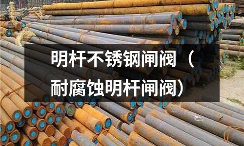 明桿不銹鋼閘閥(耐腐蝕明桿閘閥)