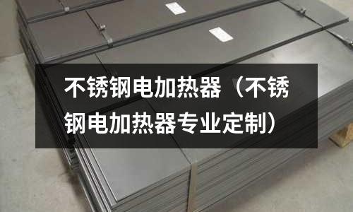 不銹鋼電加熱器（不銹鋼電加熱器專業定制）