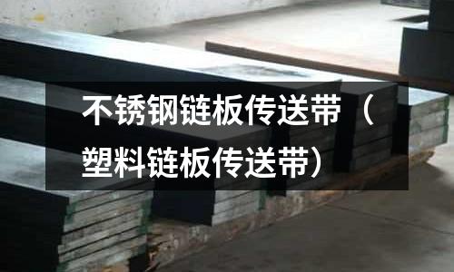 不銹鋼鏈板傳送帶（塑料鏈板傳送帶）