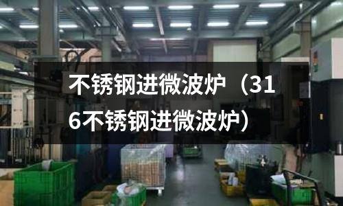 不銹鋼進微波爐（316不銹鋼進微波爐）