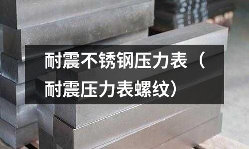 耐震不銹鋼壓力表(耐震壓力表螺紋)