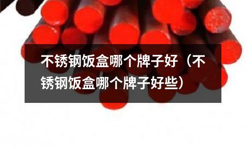 不銹鋼飯盒哪個牌子好(不銹鋼飯盒哪個牌子好些)